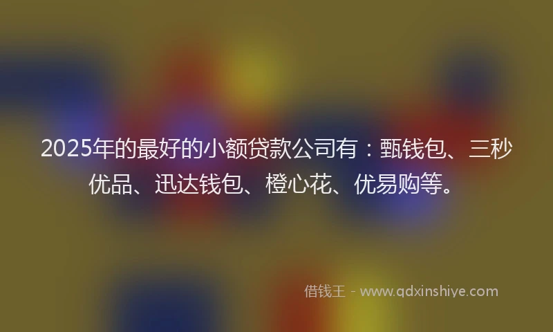2025年的最好的小额贷款公司有：甄钱包、三秒优品、迅达钱包、橙心花、优易购等。