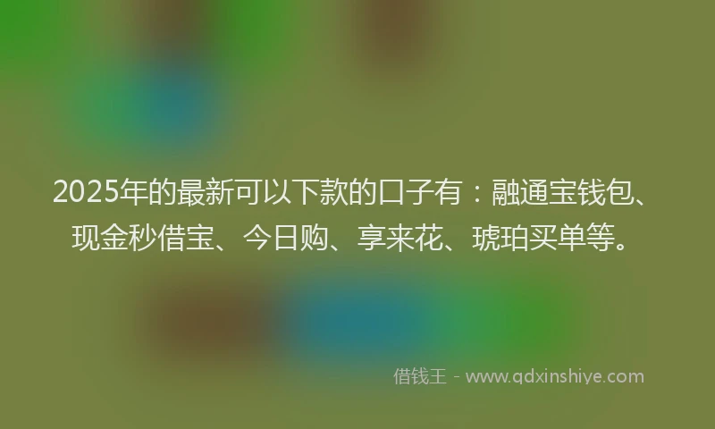 2025年的最新可以下款的口子有：融通宝钱包、现金秒借宝、今日购、享来花、琥珀买单等。