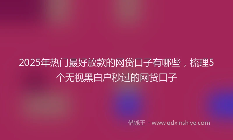 2025年热门最好放款的网贷口子有哪些，梳理5个无视黑白户秒过的网贷口子