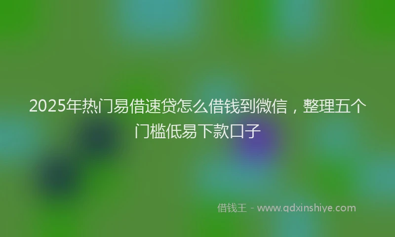 2025年热门易借速贷怎么借钱到微信，整理五个门槛低易下款口子