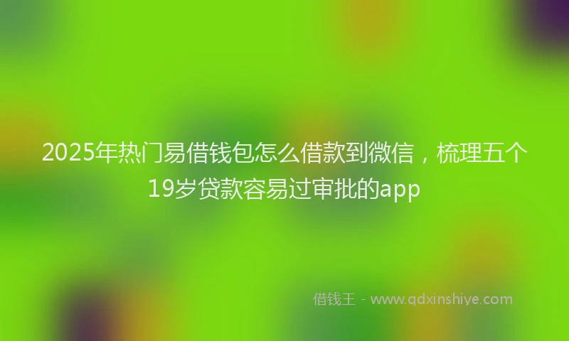 2025年热门易借钱包怎么借款到微信，梳理五个19岁贷款容易过审批的app