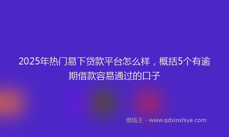 2025年热门易下贷款平台怎么样，概括5个有逾期借款容易通过的口子