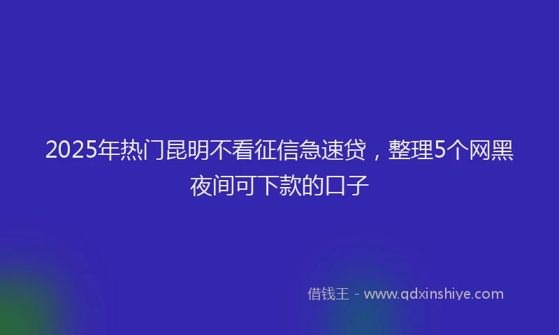 2025年热门昆明不看征信急速贷，整理5个网黑夜间可下款的口子