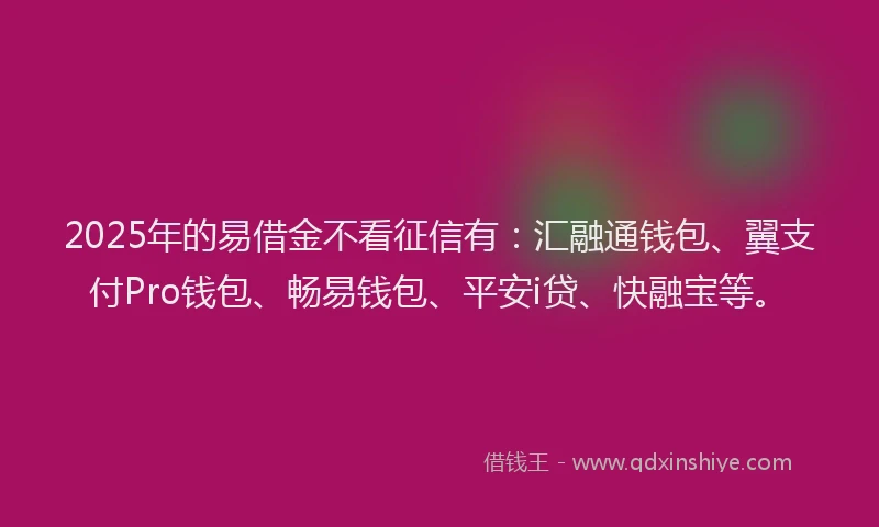 2025年的易借金不看征信有：汇融通钱包、翼支付Pro钱包、畅易钱包、平安i贷、快融宝等。