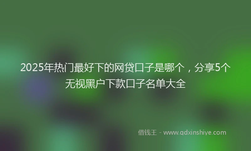 2025年热门最好下的网贷口子是哪个，分享5个无视黑户下款口子名单大全