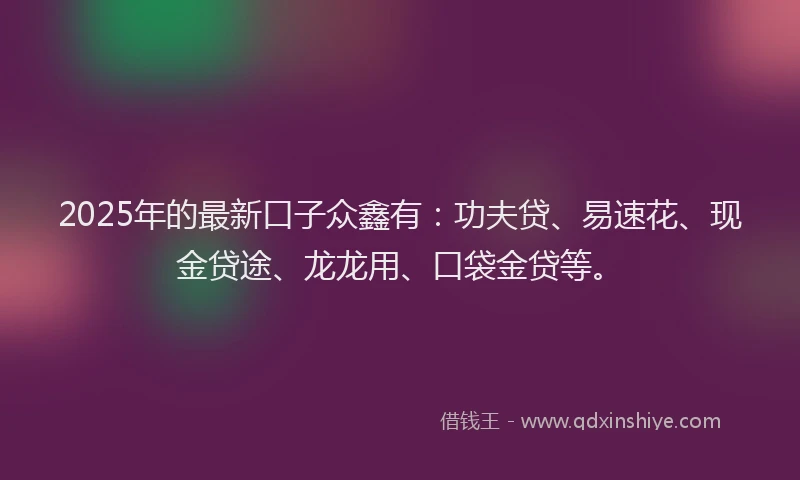 2025年的最新口子众鑫有：功夫贷、易速花、现金贷途、龙龙用、口袋金贷等。