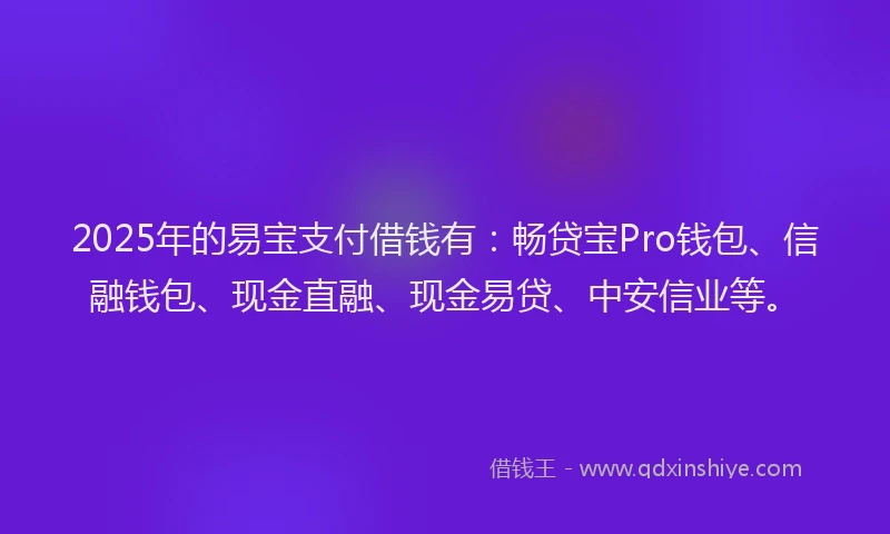 2025年的易宝支付借钱有：畅贷宝Pro钱包、信融钱包、现金直融、现金易贷、中安信业等。