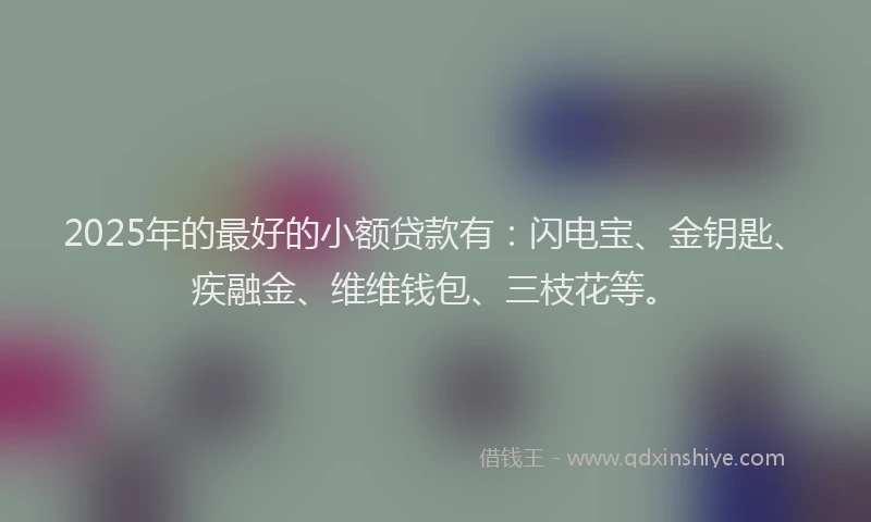 2025年的最好的小额贷款有：闪电宝、金钥匙、疾融金、维维钱包、三枝花等。