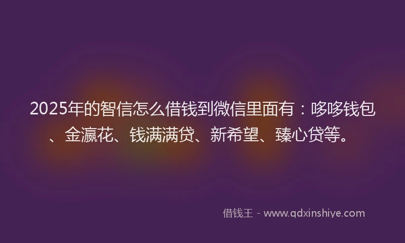 2025年的智信怎么借钱到微信里面有：哆哆钱包、金瀛花、钱满满贷、新希望、臻心贷等。
