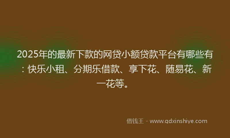 2025年的最新下款的网贷小额贷款平台有哪些有：快乐小租、分期乐借款、享下花、随易花、新一花等。