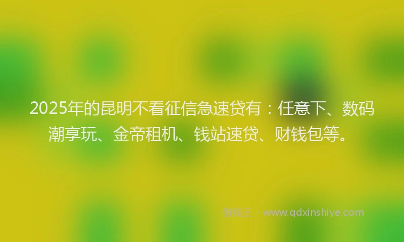 2025年的昆明不看征信急速贷有：任意下、数码潮享玩、金帝租机、钱站速贷、财钱包等。