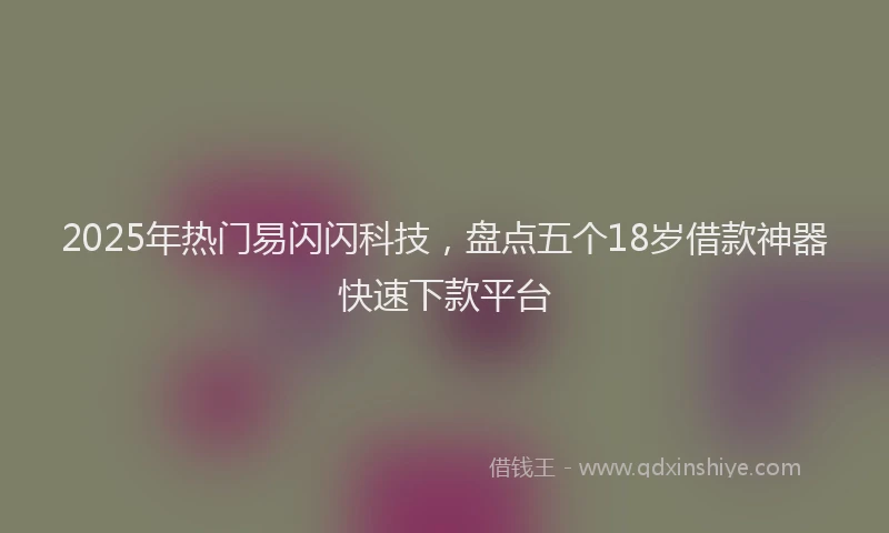 2025年热门易闪闪科技，盘点五个18岁借款神器快速下款平台
