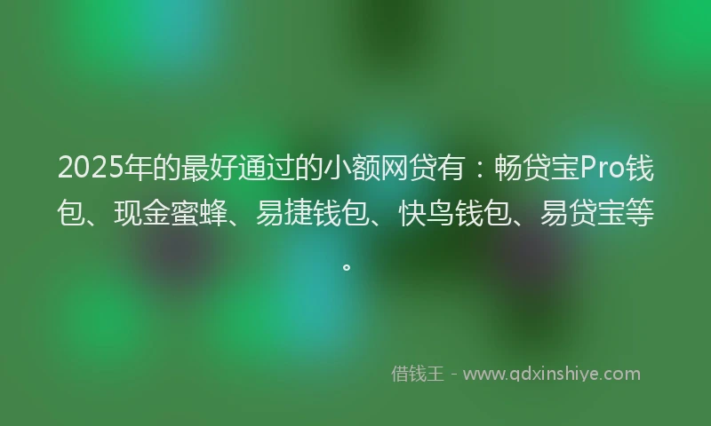 2025年的最好通过的小额网贷有：畅贷宝Pro钱包、现金蜜蜂、易捷钱包、快鸟钱包、易贷宝等。