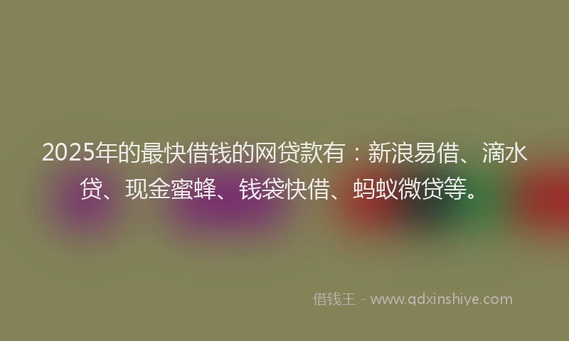 2025年的最快借钱的网贷款有：新浪易借、滴水贷、现金蜜蜂、钱袋快借、蚂蚁微贷等。