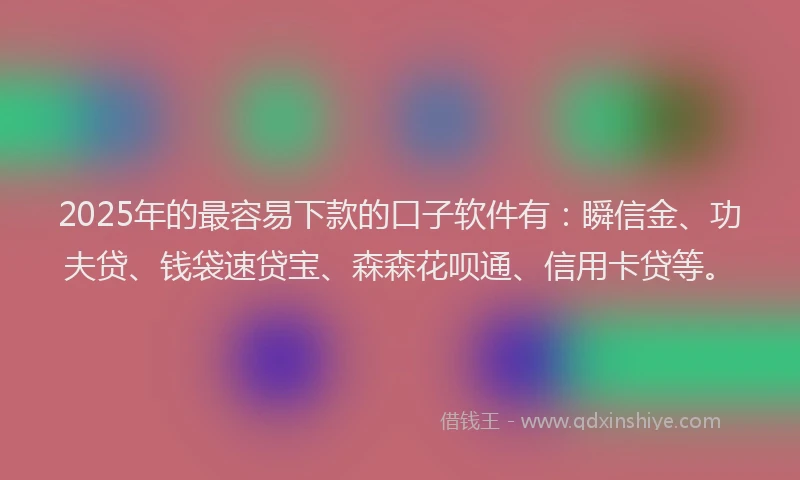 2025年的最容易下款的口子软件有：瞬信金、功夫贷、钱袋速贷宝、森森花呗通、信用卡贷等。