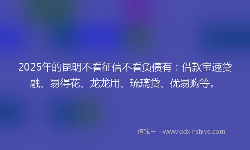 2025年的昆明不看征信不看负债有：借款宝速贷融、易得花、龙龙用、琉璃贷、优易购等。