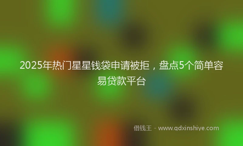 2025年热门星星钱袋申请被拒，盘点5个简单容易贷款平台