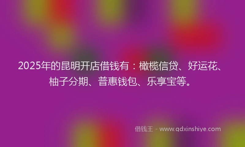 2025年的昆明开店借钱有：橄榄信贷、好运花、柚子分期、普惠钱包、乐享宝等。