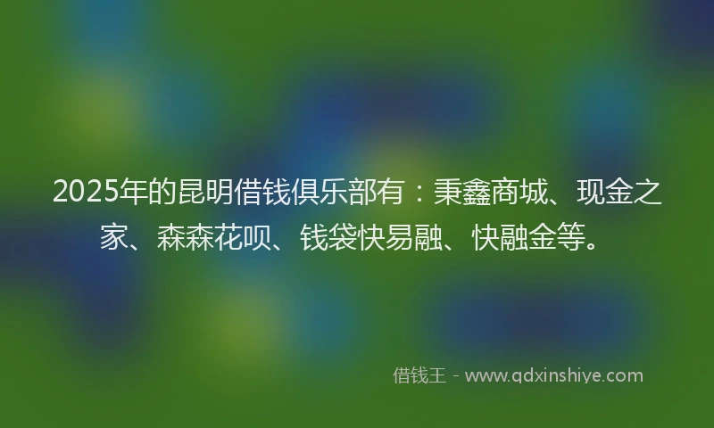 2025年的昆明借钱俱乐部有：秉鑫商城、现金之家、森森花呗、钱袋快易融、快融金等。