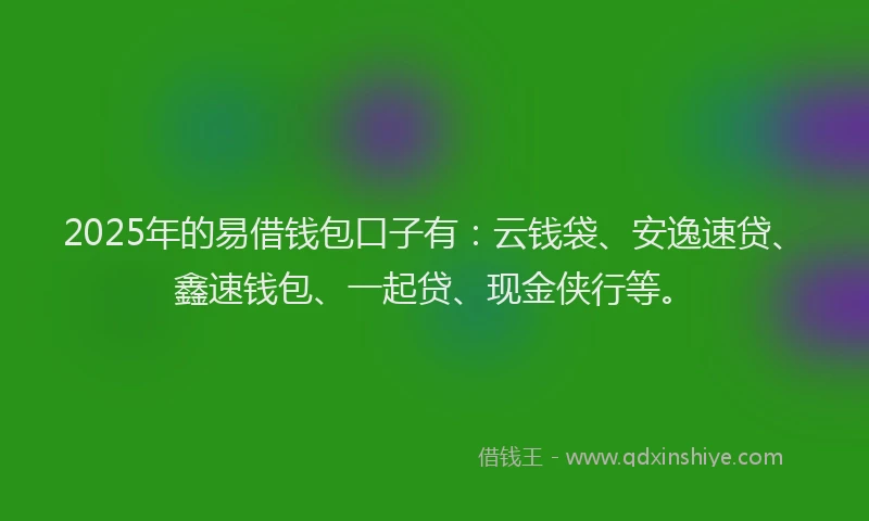 2025年的易借钱包口子有：云钱袋、安逸速贷、鑫速钱包、一起贷、现金侠行等。