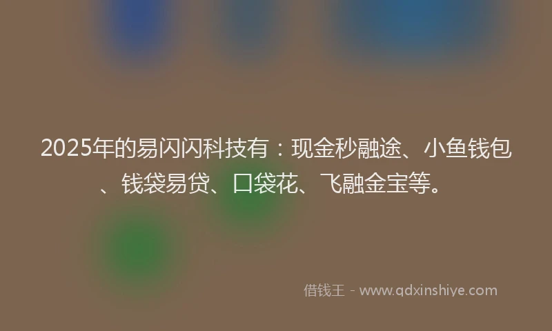 2025年的易闪闪科技有：现金秒融途、小鱼钱包、钱袋易贷、口袋花、飞融金宝等。