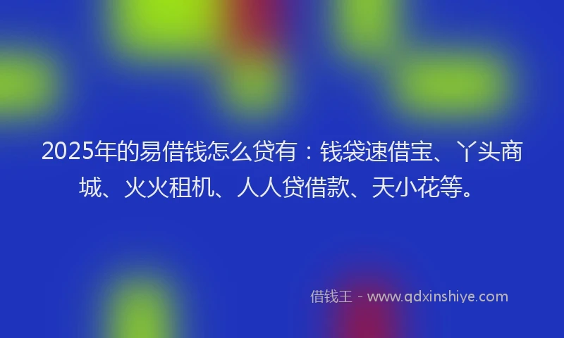 2025年的易借钱怎么贷有：钱袋速借宝、丫头商城、火火租机、人人贷借款、天小花等。