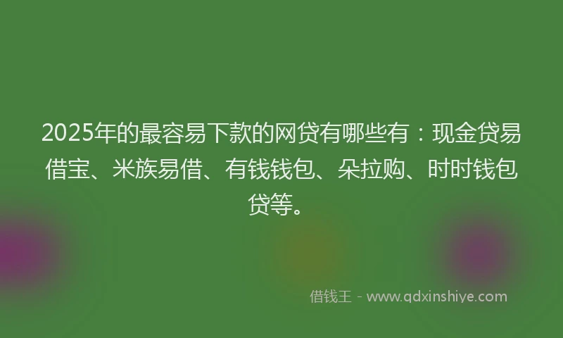 2025年的最容易下款的网贷有哪些有：现金贷易借宝、米族易借、有钱钱包、朵拉购、时时钱包贷等。