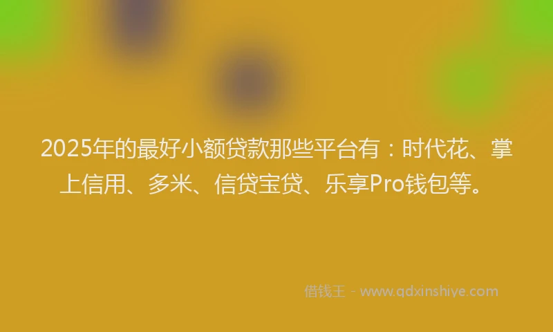 2025年的最好小额贷款那些平台有：时代花、掌上信用、多米、信贷宝贷、乐享Pro钱包等。