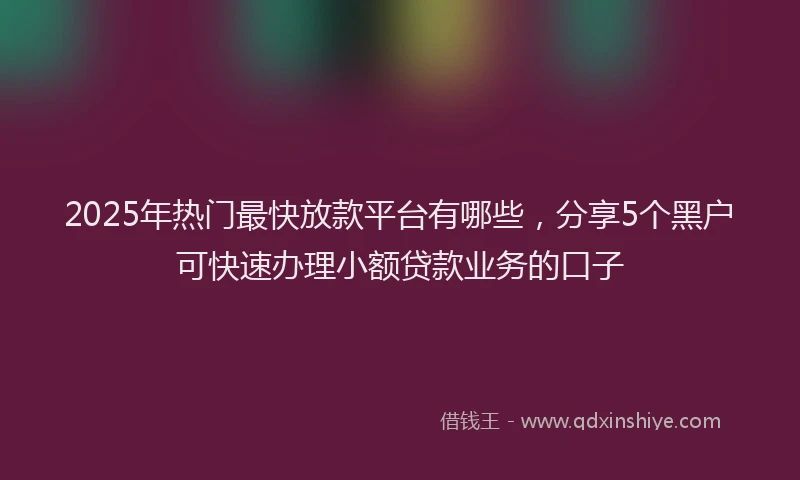 2025年热门最快放款平台有哪些，分享5个黑户可快速办理小额贷款业务的口子