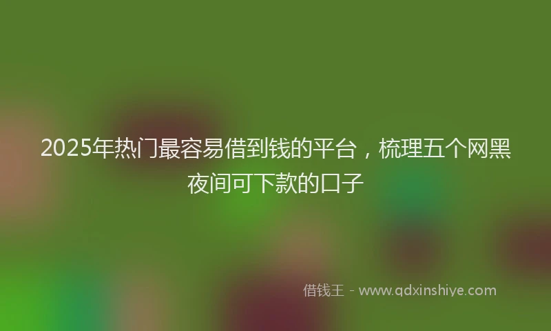 2025年热门最容易借到钱的平台，梳理五个网黑夜间可下款的口子