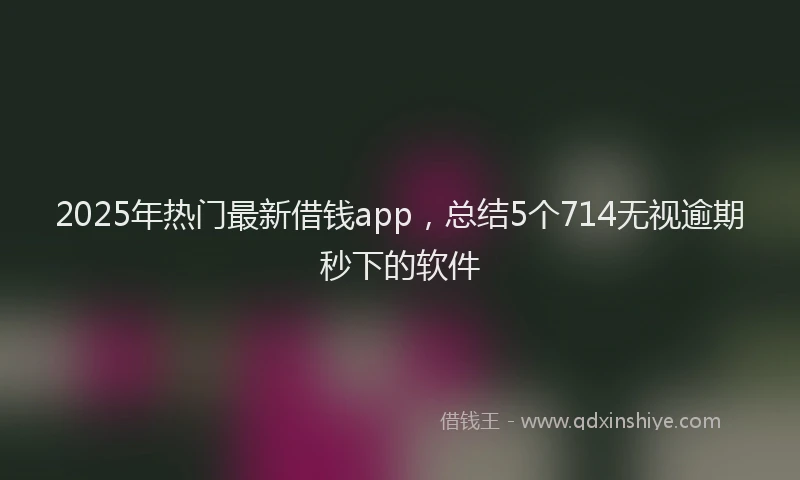 2025年热门最新借钱app，总结5个714无视逾期秒下的软件