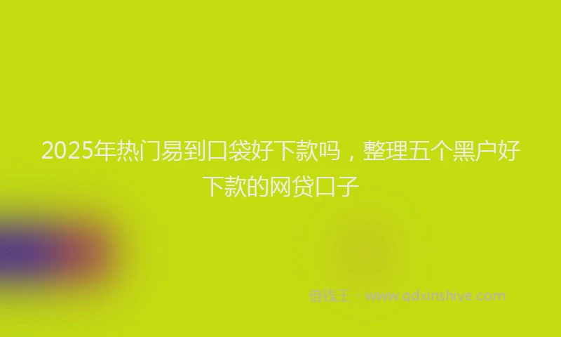 2025年热门易到口袋好下款吗，整理五个黑户好下款的网贷口子