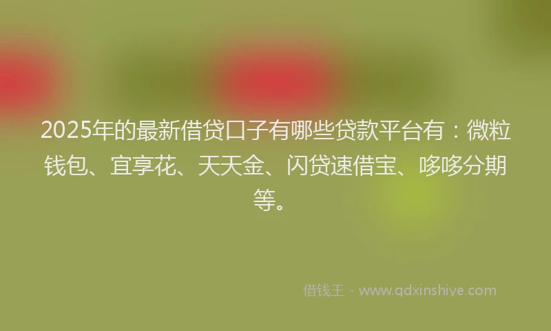 2025年的最新借贷口子有哪些贷款平台有：微粒钱包、宜享花、天天金、闪贷速借宝、哆哆分期等。