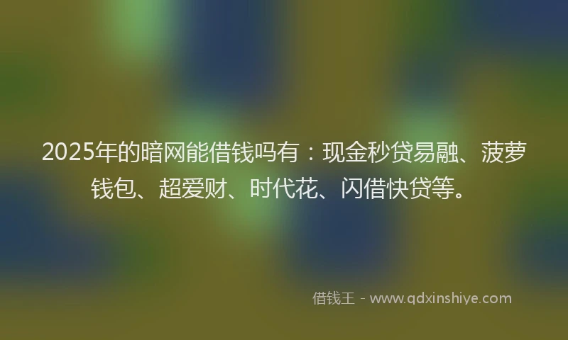 2025年的暗网能借钱吗有：现金秒贷易融、菠萝钱包、超爱财、时代花、闪借快贷等。