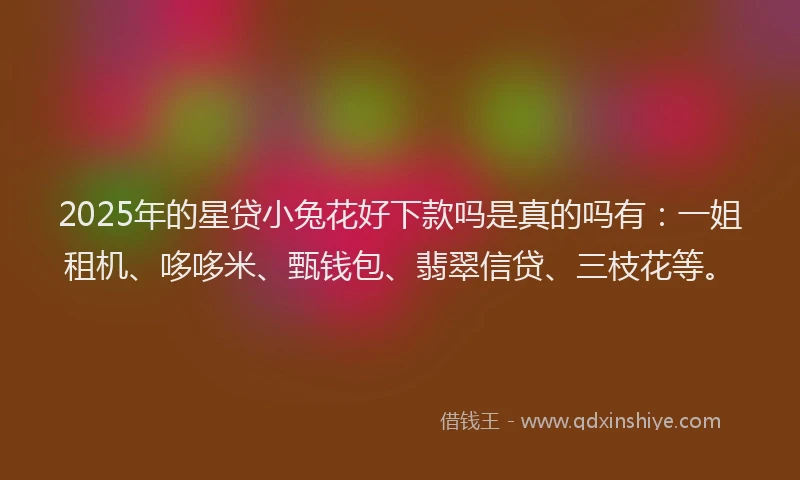 2025年的星贷小兔花好下款吗是真的吗有：一姐租机、哆哆米、甄钱包、翡翠信贷、三枝花等。