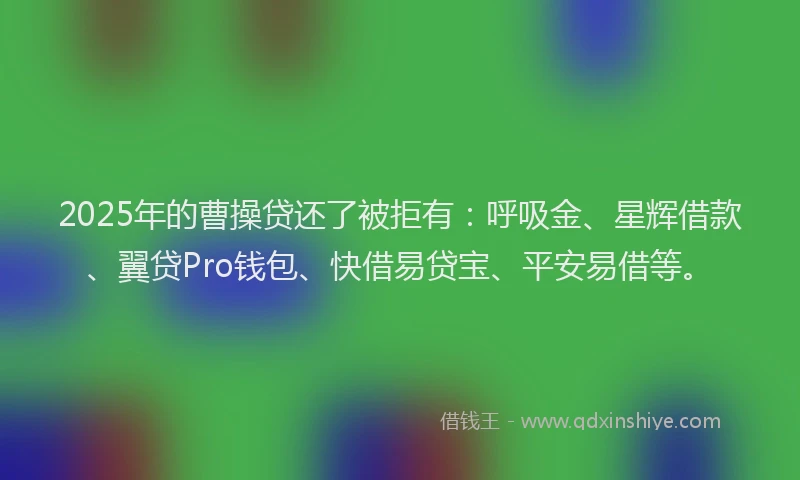 2025年的曹操贷还了被拒有：呼吸金、星辉借款、翼贷Pro钱包、快借易贷宝、平安易借等。