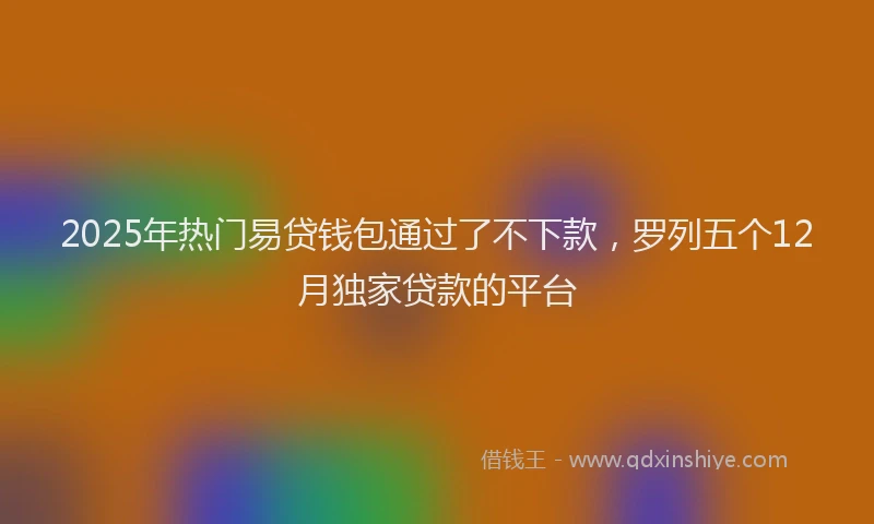 2025年热门易贷钱包通过了不下款，罗列五个12月独家贷款的平台