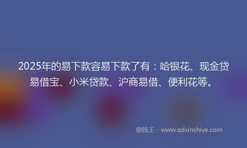 2025年的易下款容易下款了有：哈银花、现金贷易借宝、小米贷款、沪商易借、便利花等。