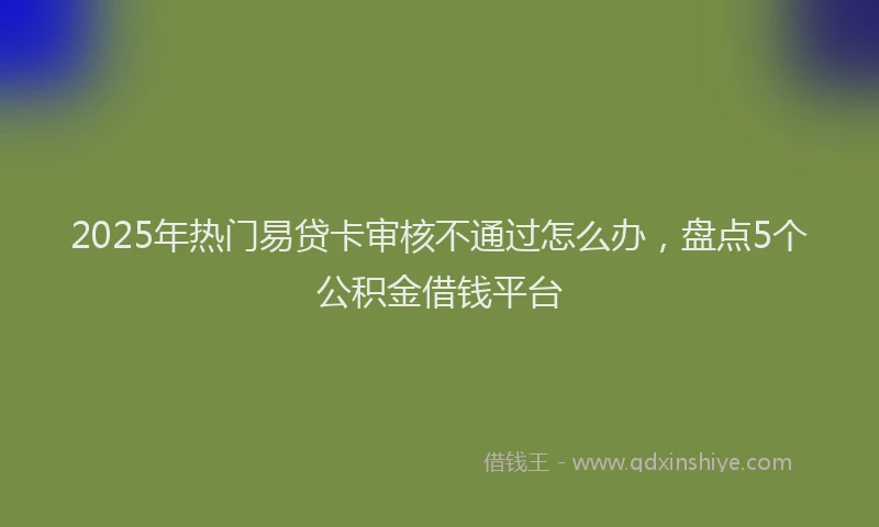 2025年热门易贷卡审核不通过怎么办，盘点5个公积金借钱平台