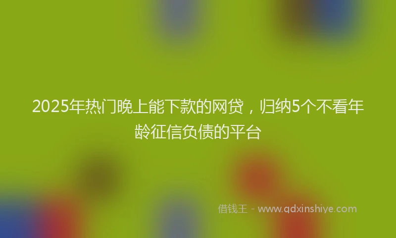 2025年热门晚上能下款的网贷，归纳5个不看年龄征信负债的平台
