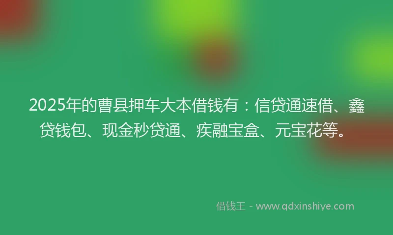 2025年的曹县押车大本借钱有：信贷通速借、鑫贷钱包、现金秒贷通、疾融宝盒、元宝花等。