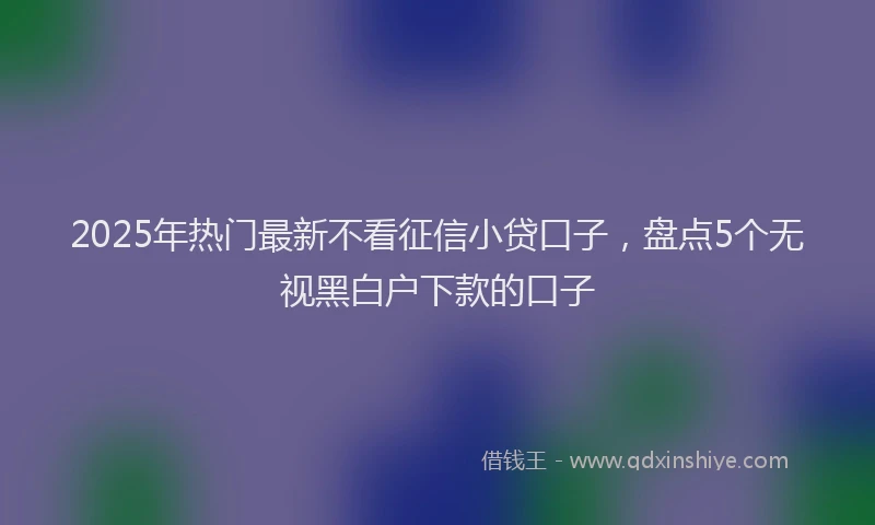 2025年热门最新不看征信小贷口子，盘点5个无视黑白户下款的口子