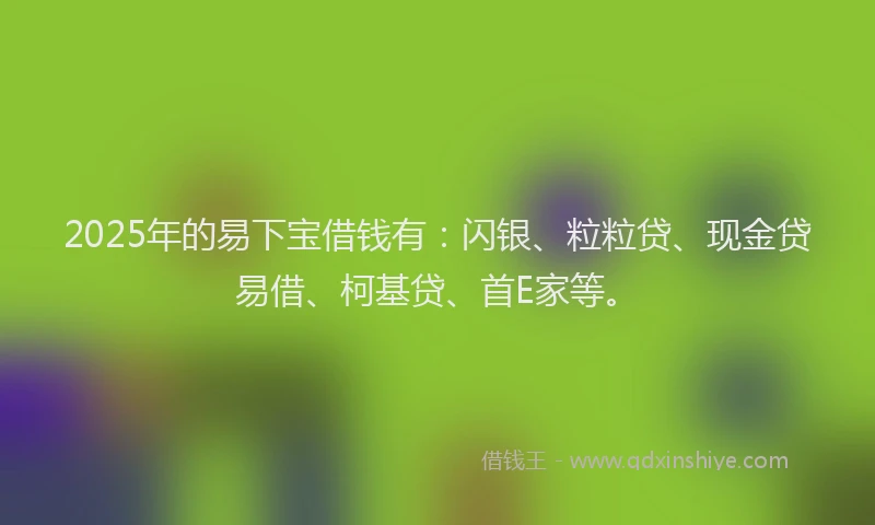 2025年的易下宝借钱有：闪银、粒粒贷、现金贷易借、柯基贷、首E家等。