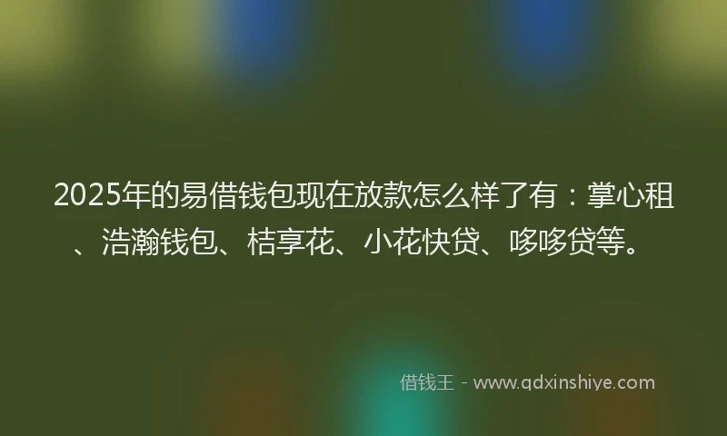 2025年的易借钱包现在放款怎么样了有：掌心租、浩瀚钱包、桔享花、小花快贷、哆哆贷等。