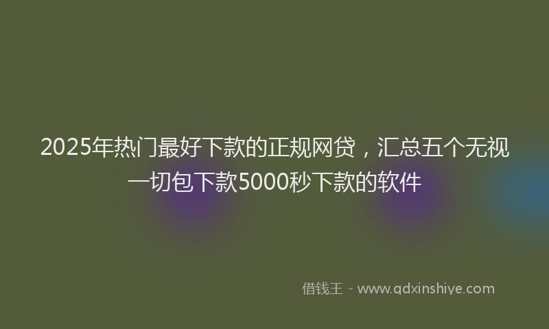 2025年热门最好下款的正规网贷，汇总五个无视一切包下款5000秒下款的软件
