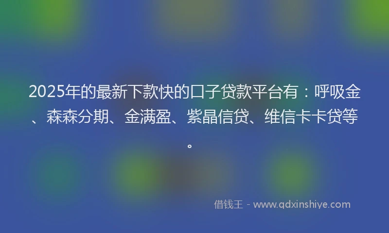 2025年的最新下款快的口子贷款平台有：呼吸金、森森分期、金满盈、紫晶信贷、维信卡卡贷等。
