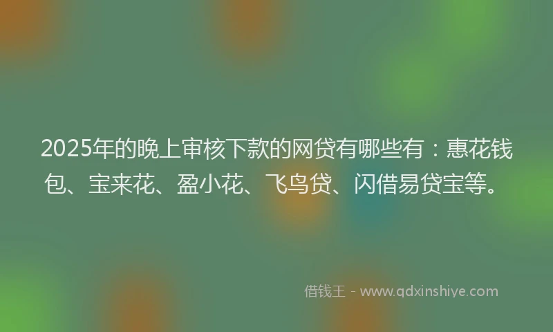 2025年的晚上审核下款的网贷有哪些有：惠花钱包、宝来花、盈小花、飞鸟贷、闪借易贷宝等。