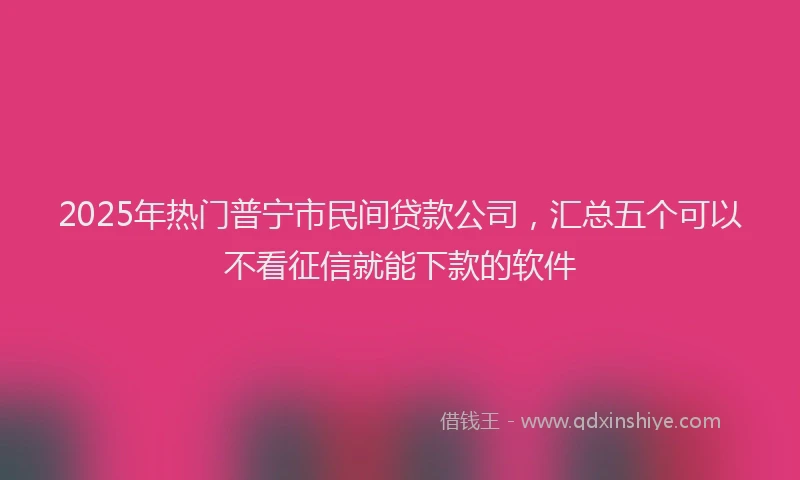 2025年热门普宁市民间贷款公司，汇总五个可以不看征信就能下款的软件