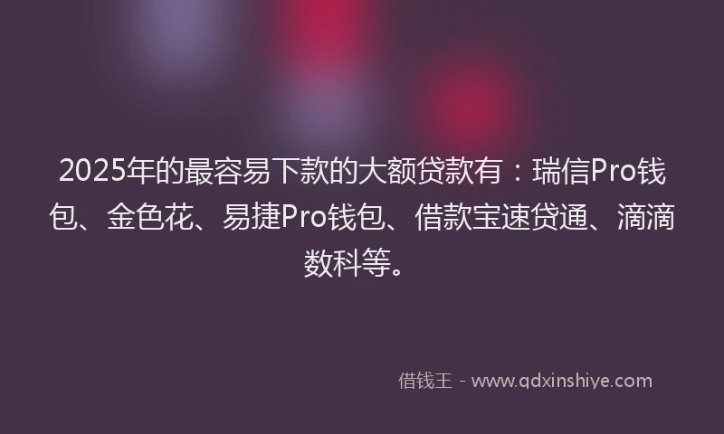 2025年的最容易下款的大额贷款有：瑞信Pro钱包、金色花、易捷Pro钱包、借款宝速贷通、滴滴数科等。
