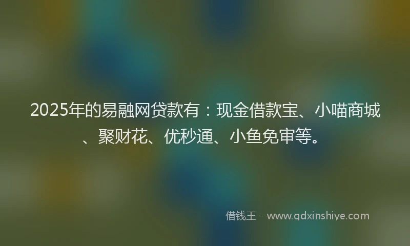 2025年的易融网贷款有：现金借款宝、小喵商城、聚财花、优秒通、小鱼免审等。